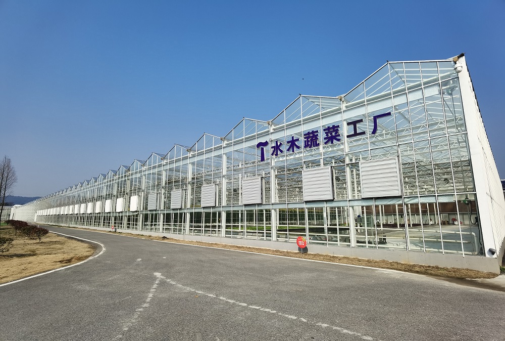 农行湖州分行成功发放全省农行首笔农业生产设施产权抵押贷款1 - 副本.jpg