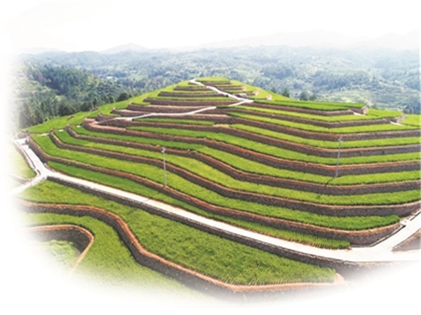 20220506上报（5条）配图03  压缩.jpg