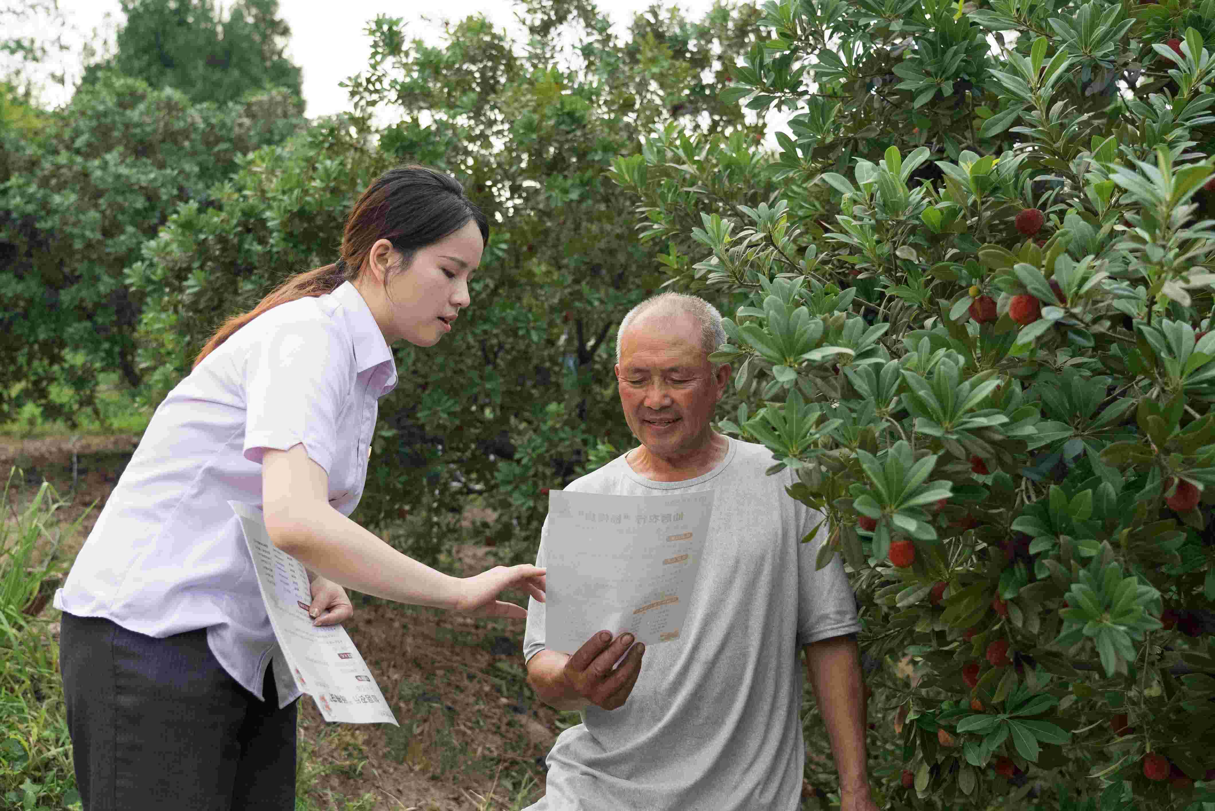 杨梅贷(1).jpg