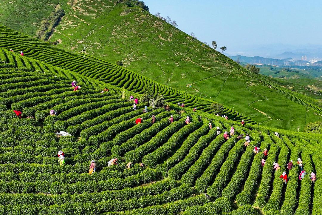 1760146233238293.jpg 2.jpg