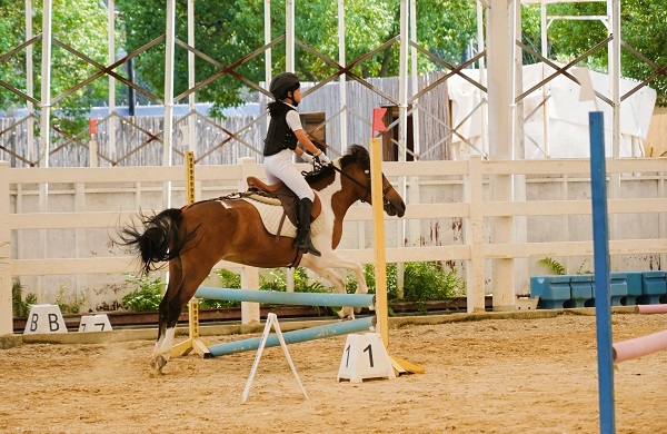 青少年马术比赛 温州天骑马术中心提供.jpg